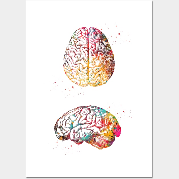 Human Brain Wall Art by erzebeth